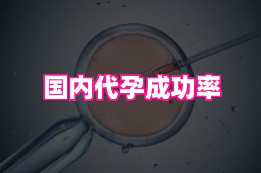 福建助孕网 2